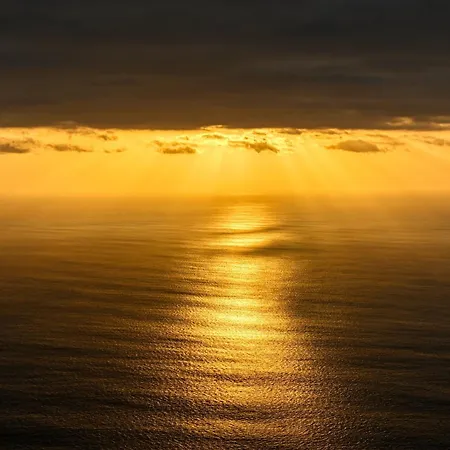 Ocean View A In Madeira 펜션